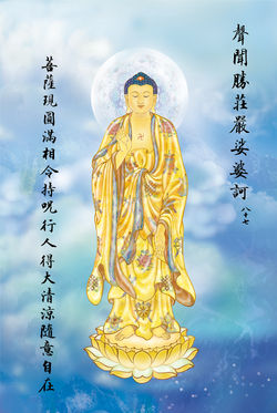 87.jpg