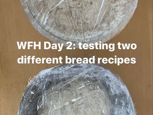 Week 1 - This could be fun