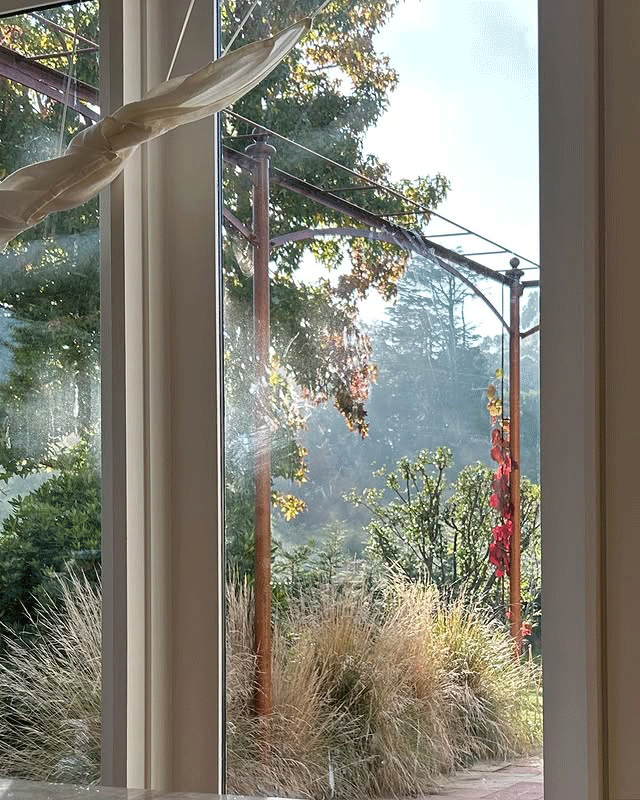 SRA8.gif