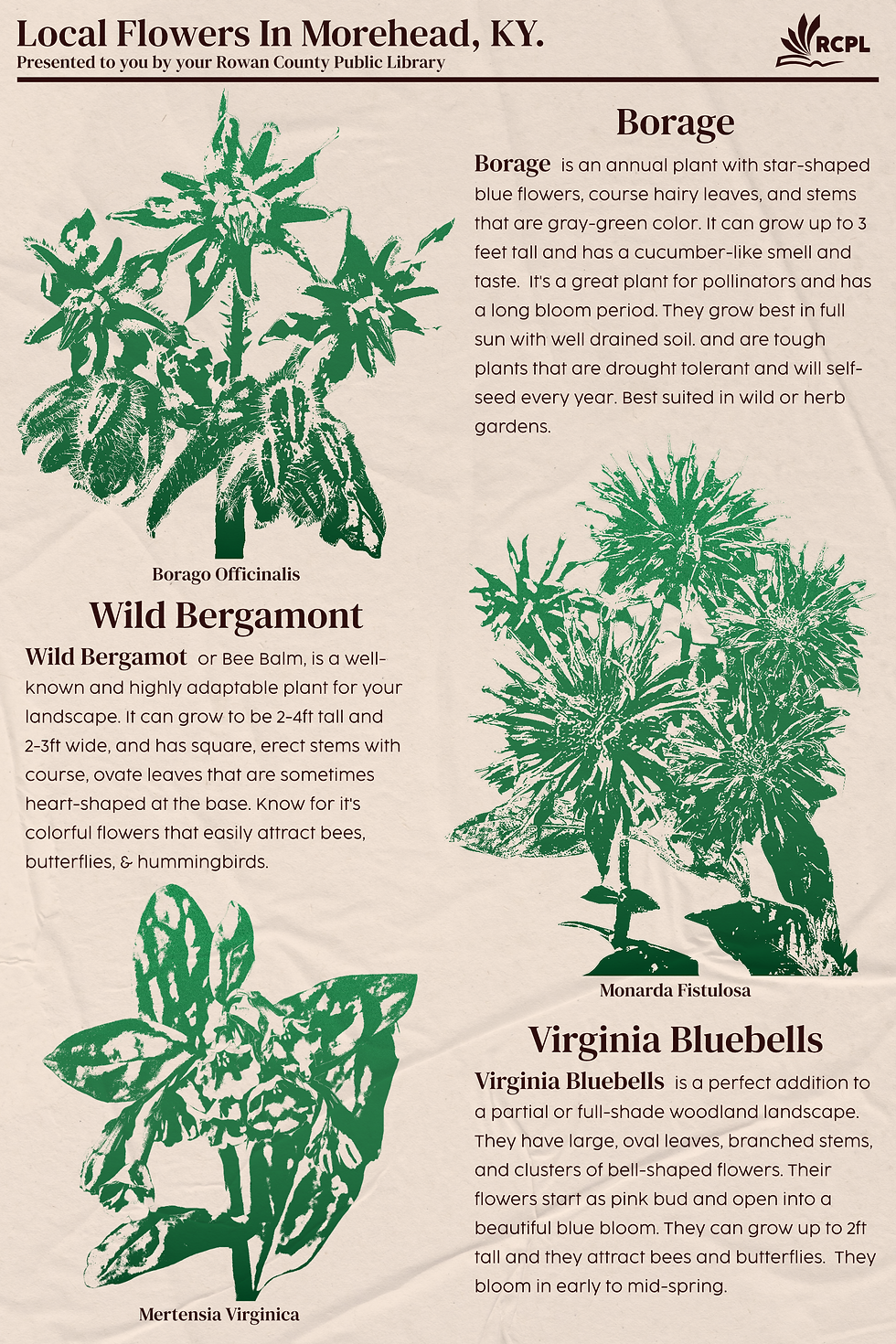 poster local flowers in morehead.png