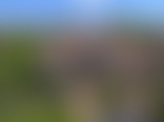 Blanket 'Bigi' Jackson Buys a $2.6 Million Home In Calabasas For 18th Birthday