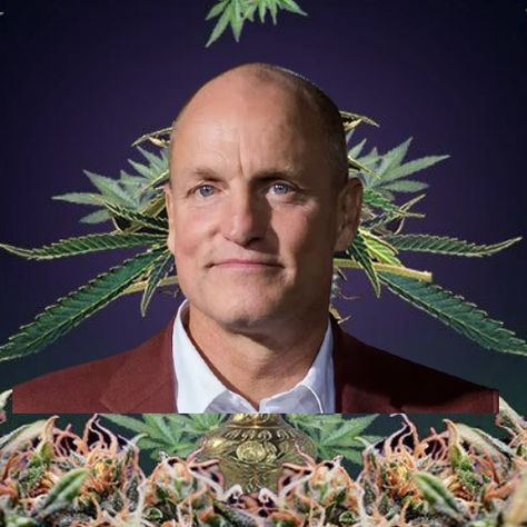 Woody Harrelson Opens “The Woods,” West Hollywood Dispensary & Lounge