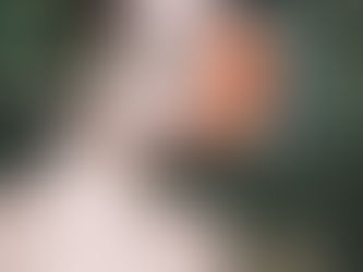 Bella Hadid Donates ‘600 Trees to Be Planted’ to Reduce Her Carbon Footprint