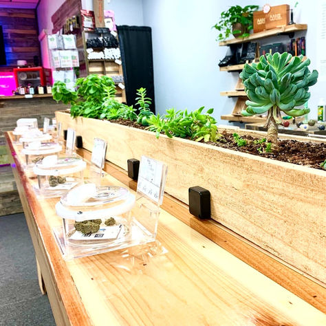 Owner of High Times Magazine to Acquire 13 Marijuana Dispensaries in California