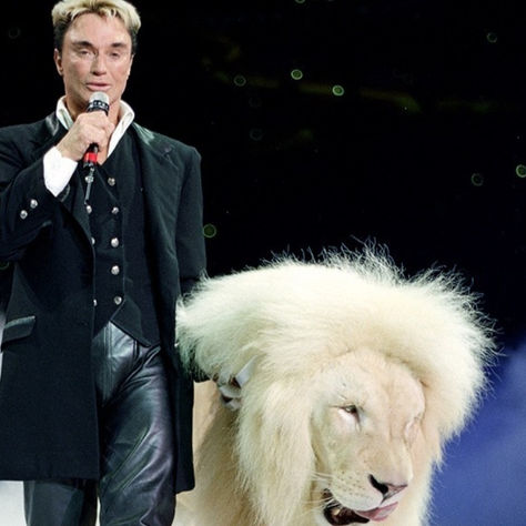 Roy Horn of Siegfried & Roy Dies of Coronavirus Complications in Las Vegas - Nevada