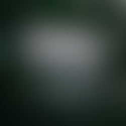 Hollywood Bowl Cancels 2020 Season For The First Time In Nearly A Century