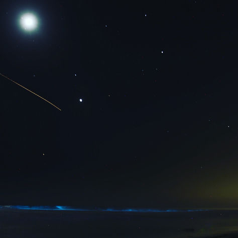 Southern California’s Glow-in-the-Dark Bioluminescent Waves Light Up Solana Beach - San Diego