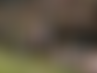 The Footballing Microscope: Madrid