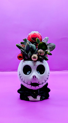 置物 JACK Jack! | Fearless Insanity