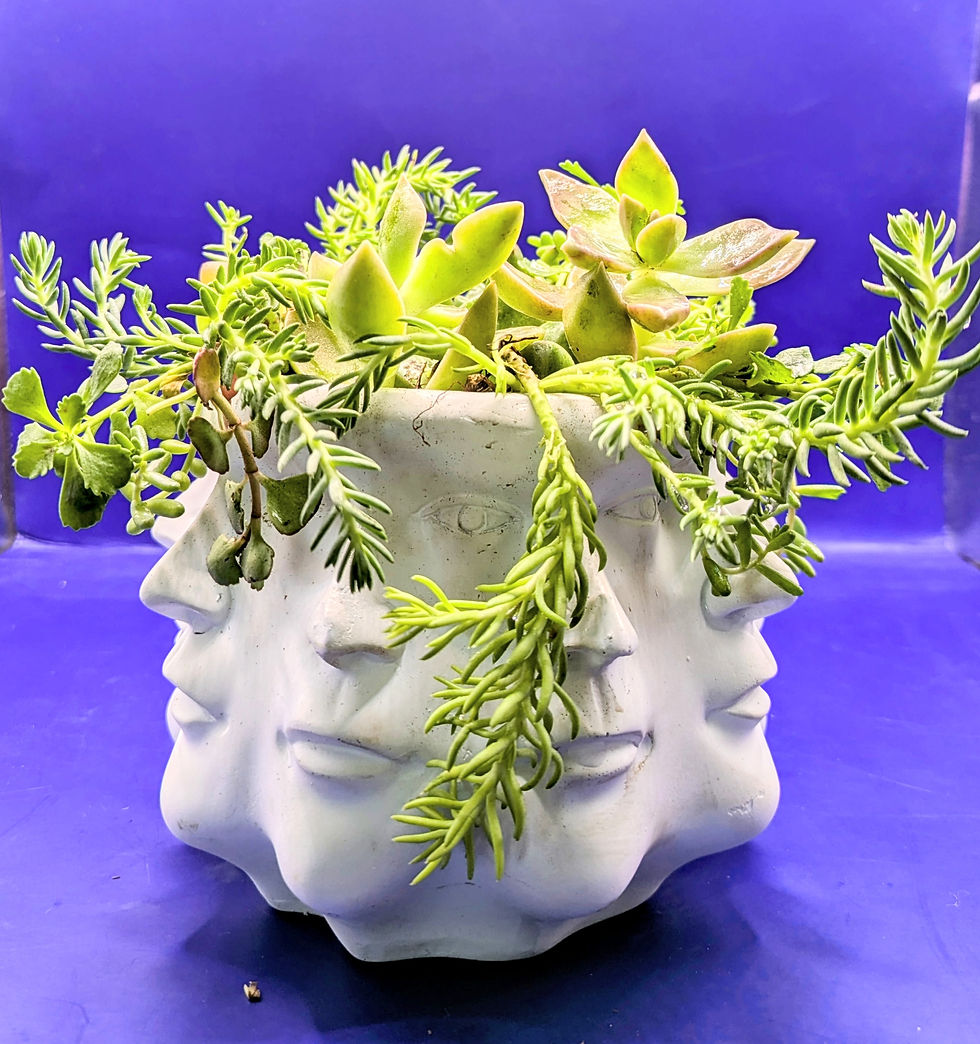 Thumbnail: Many faces