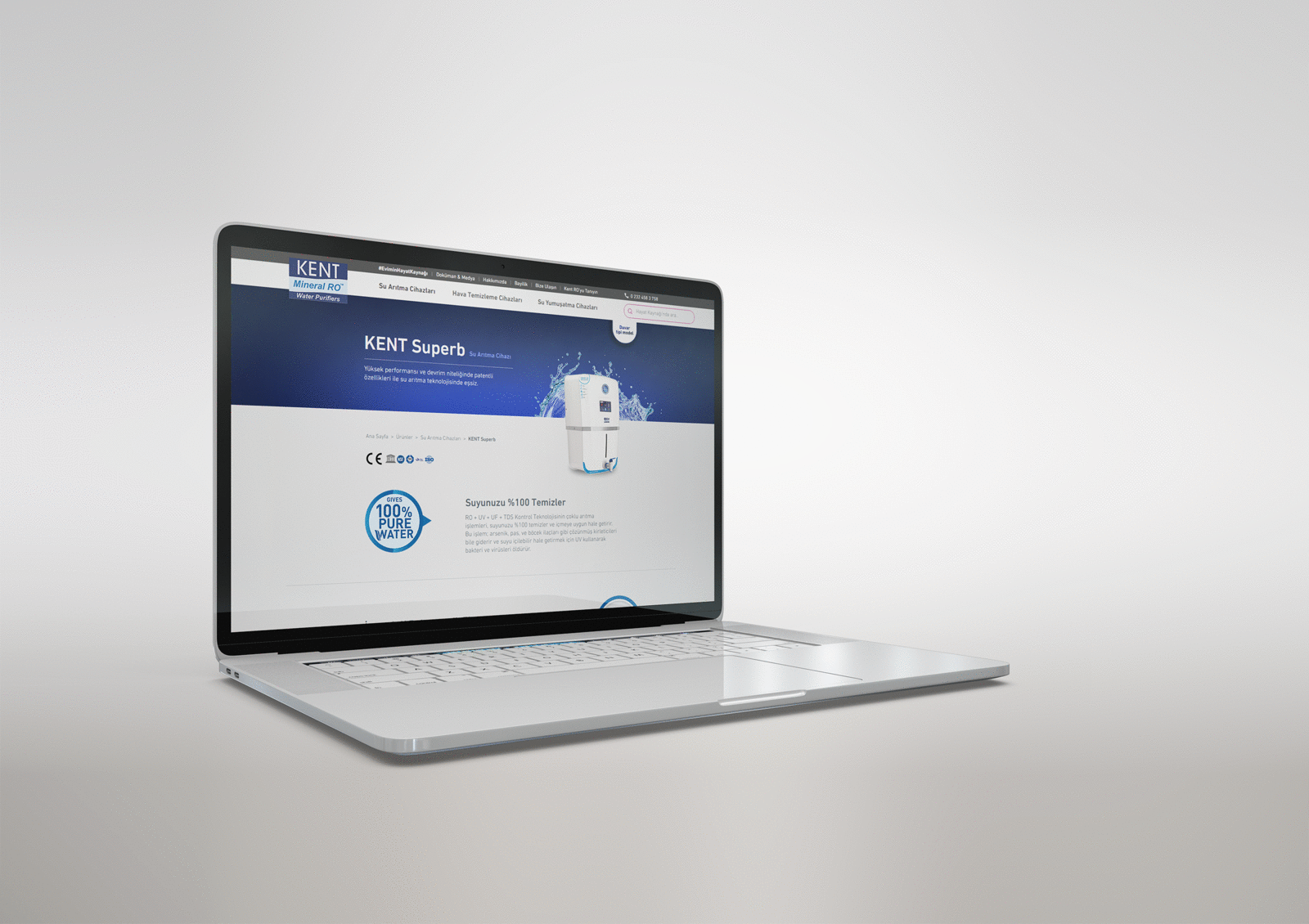 Web GIF.gif