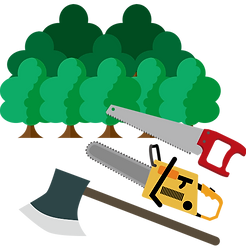 img13.png