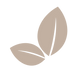 feuilles de notre colonne vértébrale