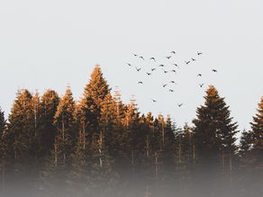 21 DAYS OF FAITH - DAY 1  - GOD WAS THERE