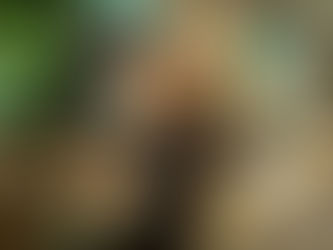 Pilar Alba gana el I Concurso Cortadores Jamón Casa Frasco