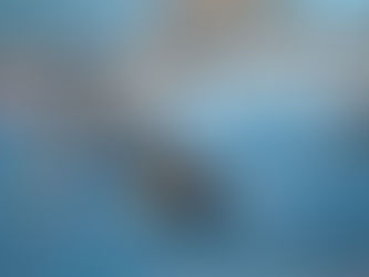 El C.W. Dos Hermanas PQS cae ante el Rivas en femenino pero gana en Manresa y sigue soñando con el play off masculino