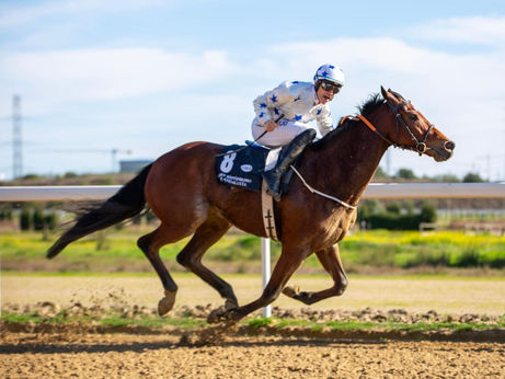 Pasión en la Arena: La Victoria de Helheim y el Calendario de Emociones en el Gran Hipódromo de Andalucía