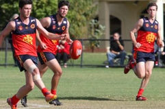 AMATEURS – DIVISION 6