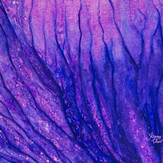 Iris Petals 4.jpeg