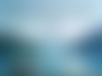 Uzdaroji Akcine Bendrove Baltijos Mineraliniu Vandenu Kompanija vs. Mr. Sahil Tandon