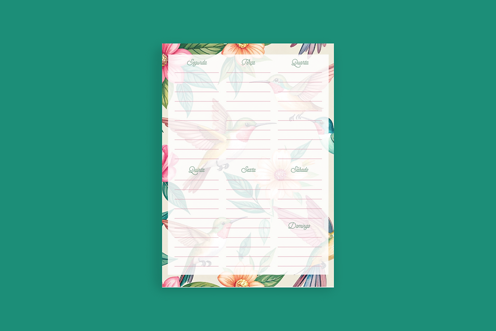 Miniatura: Notepad Beija flor
