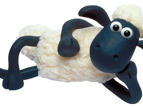 Свои барашки