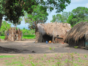 34. Route de Morogoro à Mikumi, hors piste