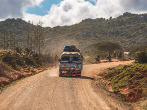 31. Finalement destination Congo, option chimpanzé
