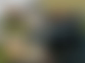 300 SQM Plots in YEIDA – Best Options at Vidastu Developers Pvt. Ltd.