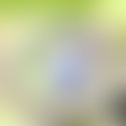 Régularisation des informations cadastrales dans le Brabant wallon