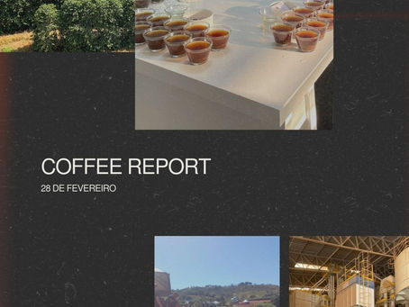Mercado de Café em Queda: Pressão Cambial e Oferta Limitada Aumentam Incertezas