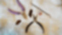 DSCF5010.JPG