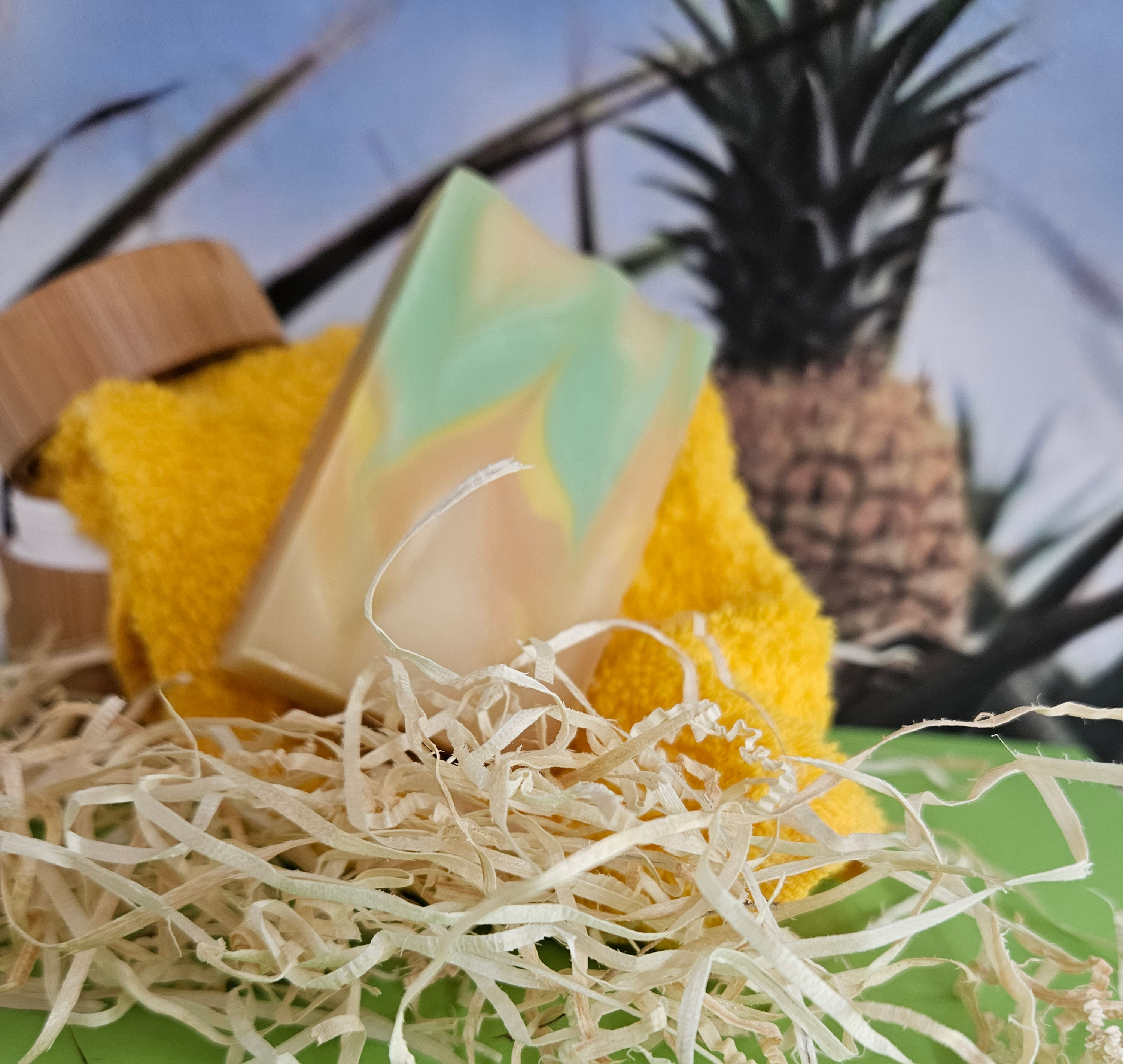 Pflegeschätzchen Aloe Vera Ananas