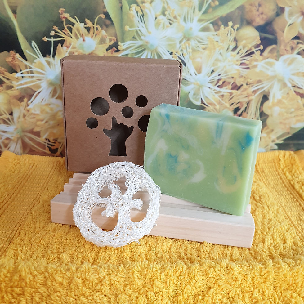 Miniaturbild: Lindenblüte