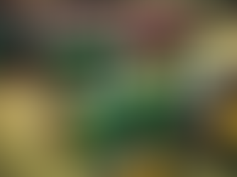 Blissfield Event: Antique Tractor Poker Run Insider Tips