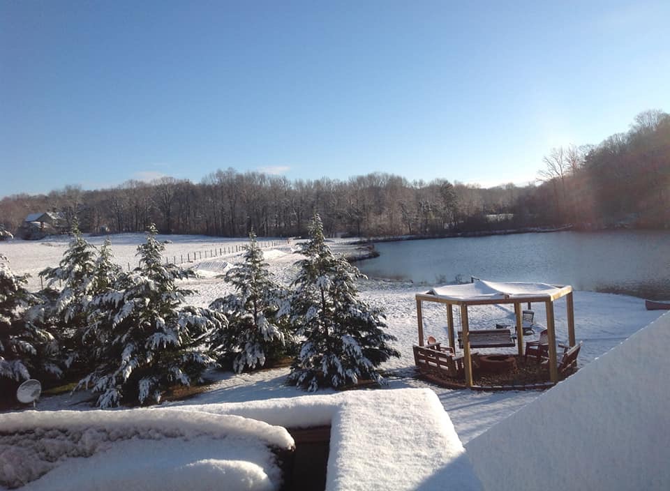 Gallery Lilly creek farm