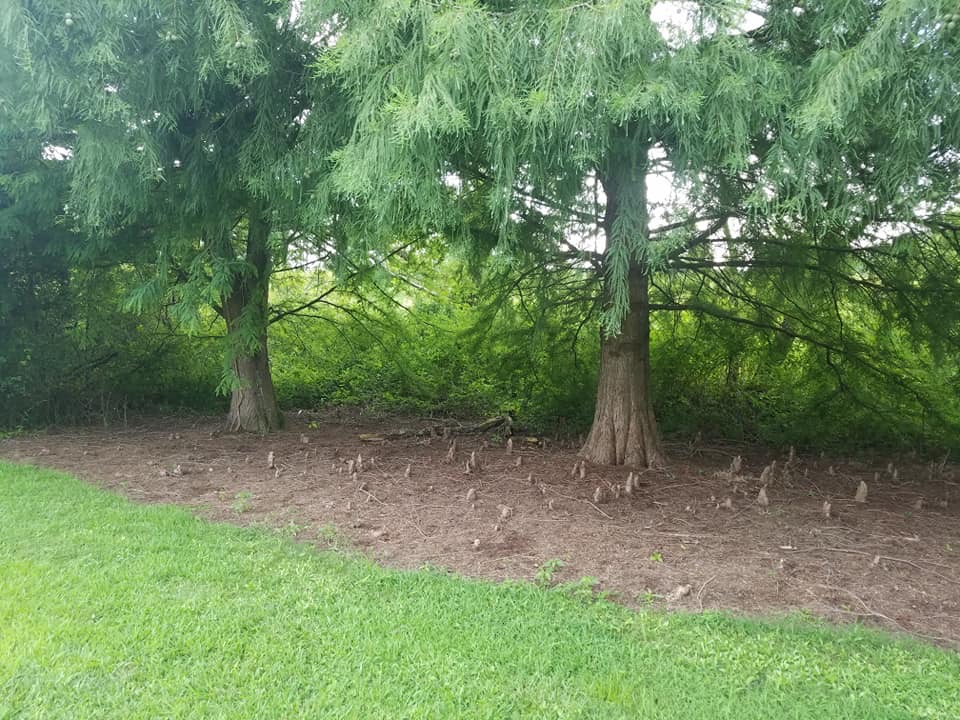 Gallery Lilly creek farm