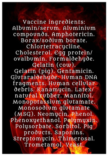 Vaccine Ingredients