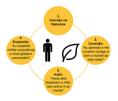 Diagrama%20em%20branco-3_edited.png