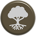 reconhecimento da terra icon.png