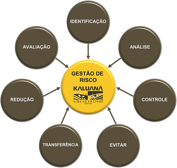 GESTÃO DE RISCO.png