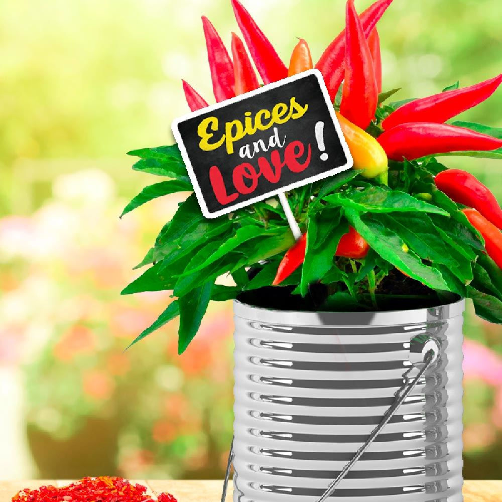 Plaque Jardin "Epices"