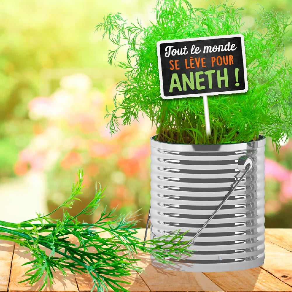 Plaque Jardin "Aneth"