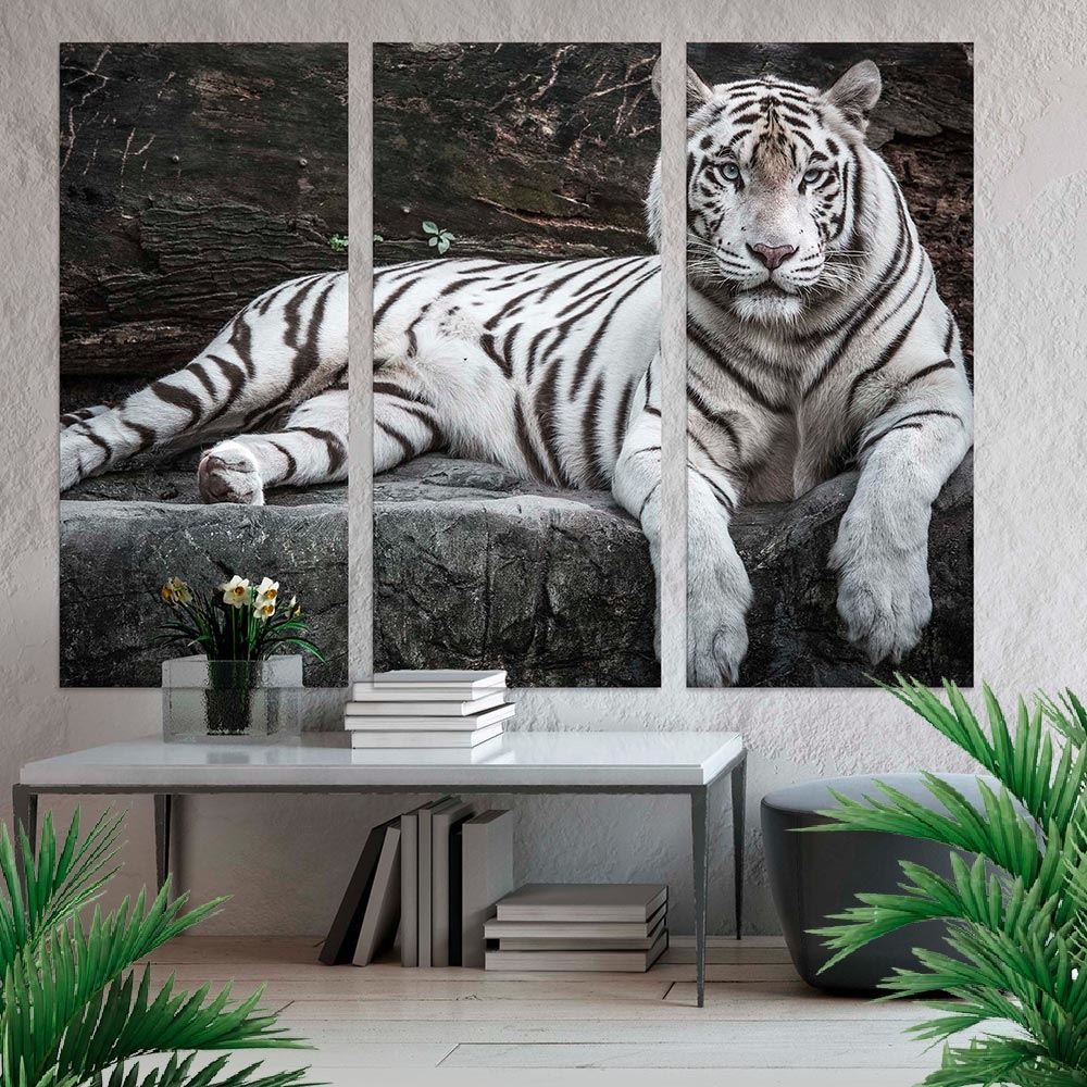 Toiles Triptyques Tigre 150x120 Cm
