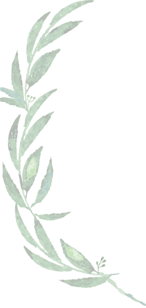 leaves1_edited.png