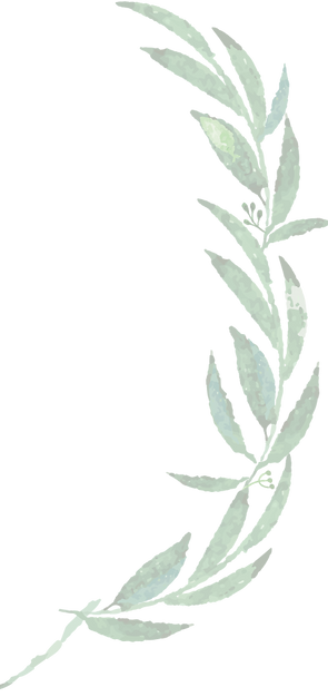 leaves2_edited.png