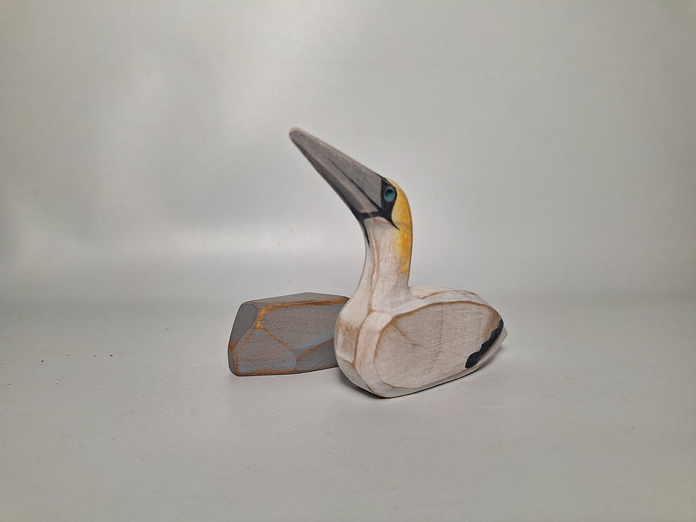 Thumbnail: Les fous de bassans