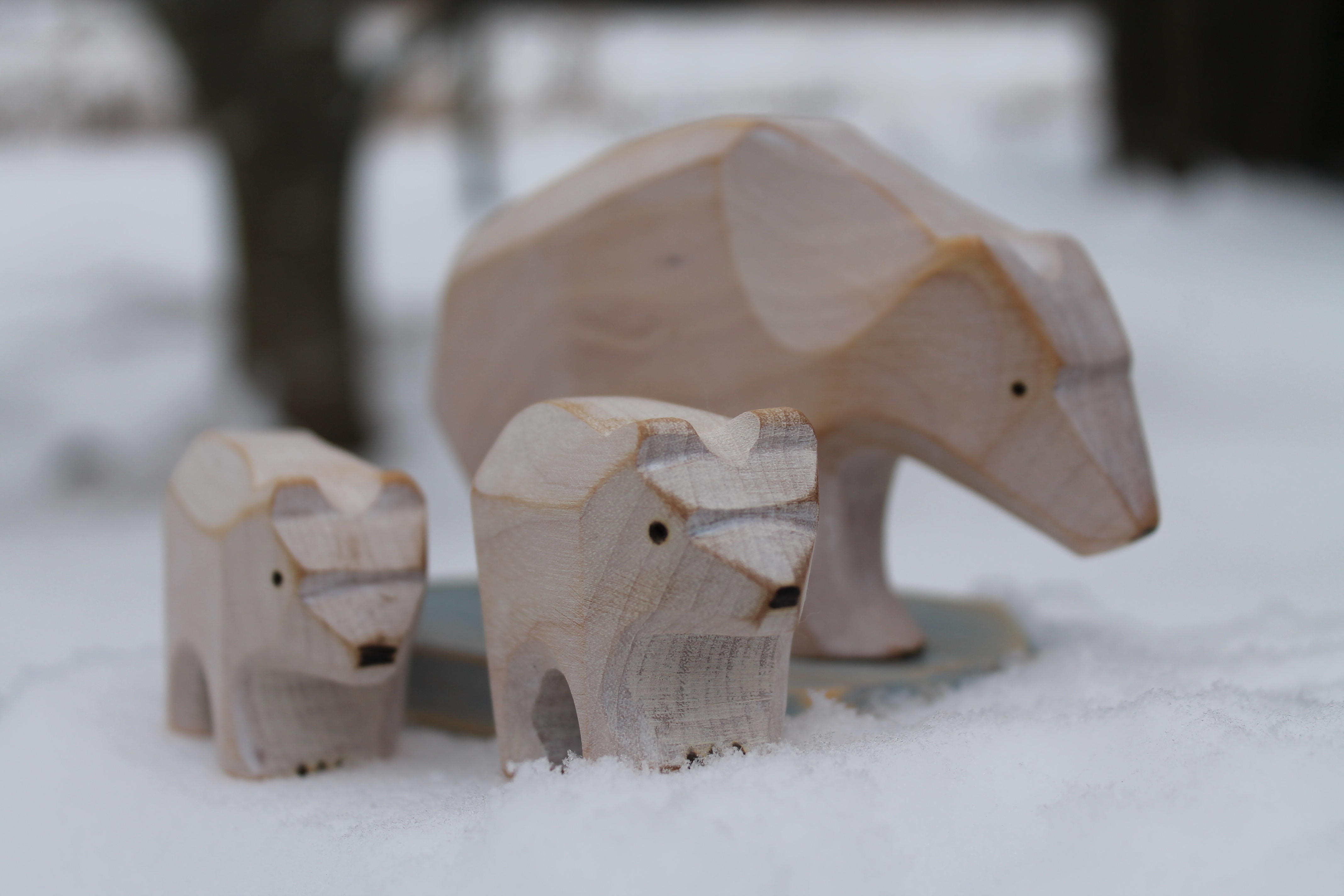 Ensemble ours polaire
