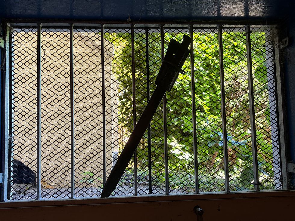 Blick durch ein vergittertes Fenster auf einen grünen Garten; ein schwarzer Stab lehnt schräg davor.