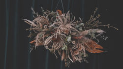 永生花圈訂製 | 中壢花店 | 朝夕相處coexist |